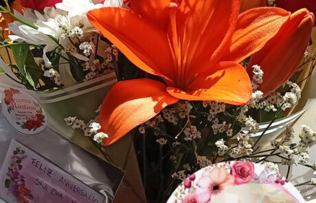 Flores Martina en Recoleta (31)