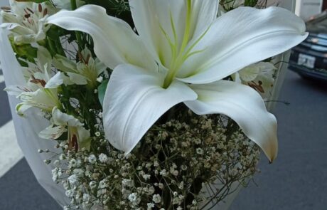 Flores Martina en Recoleta (51)