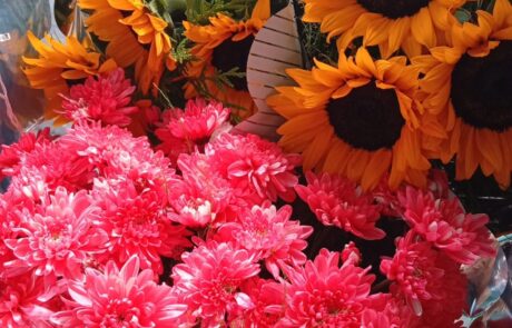 Flores Martina en Recoleta (55)